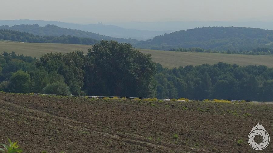 gdzieś tam w oddali majaczy klasztor w Bielanach