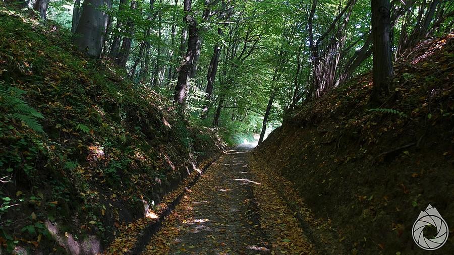 zjeździć do Zimnego Dołu