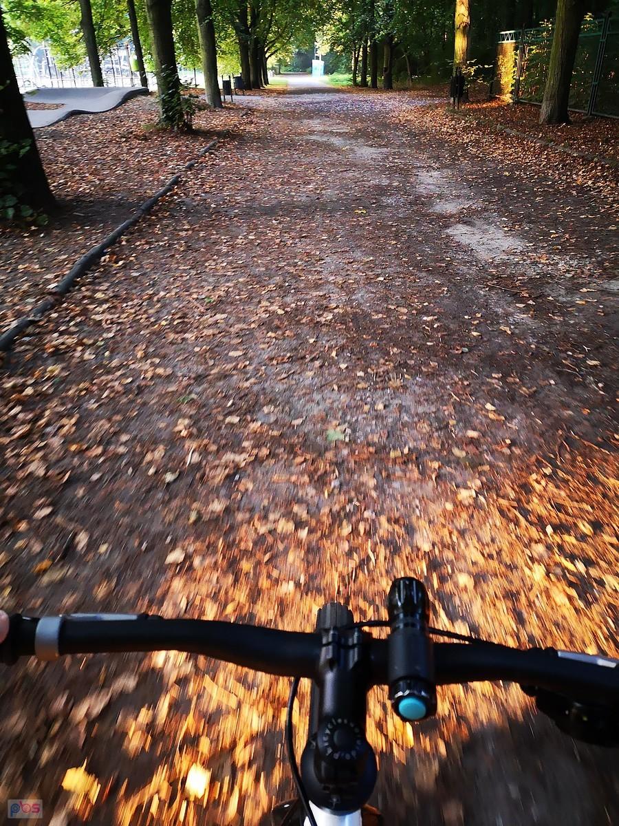 Poranny przejazd przez Park na Zdrowiu