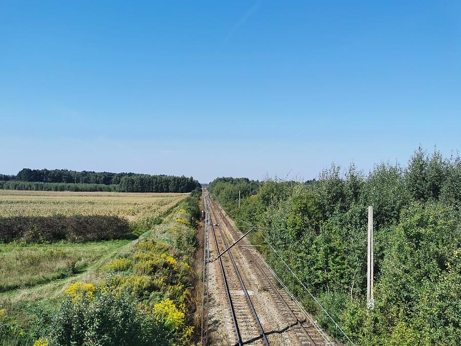 Widok ze szczytu ciężkiego podjazdu