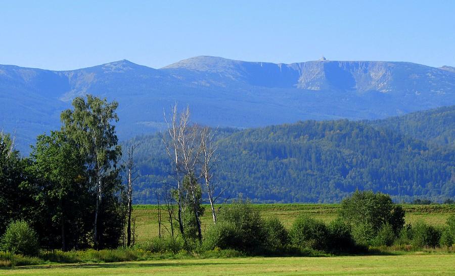 Widok na Karkonosze z wysokości Wojcieszyc