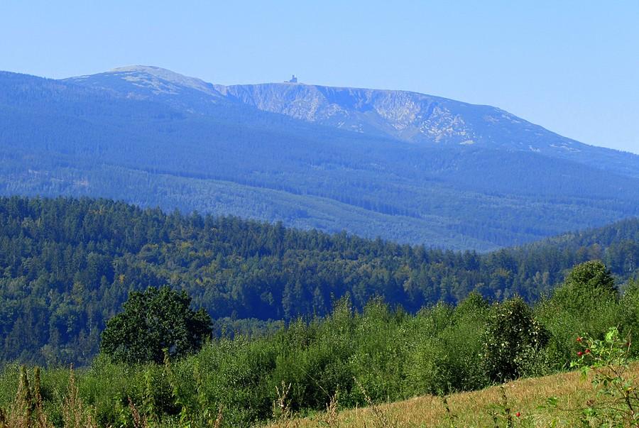 Widok z Sosnówki