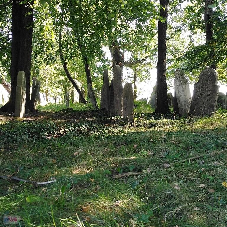 kirkut w Wielowsi