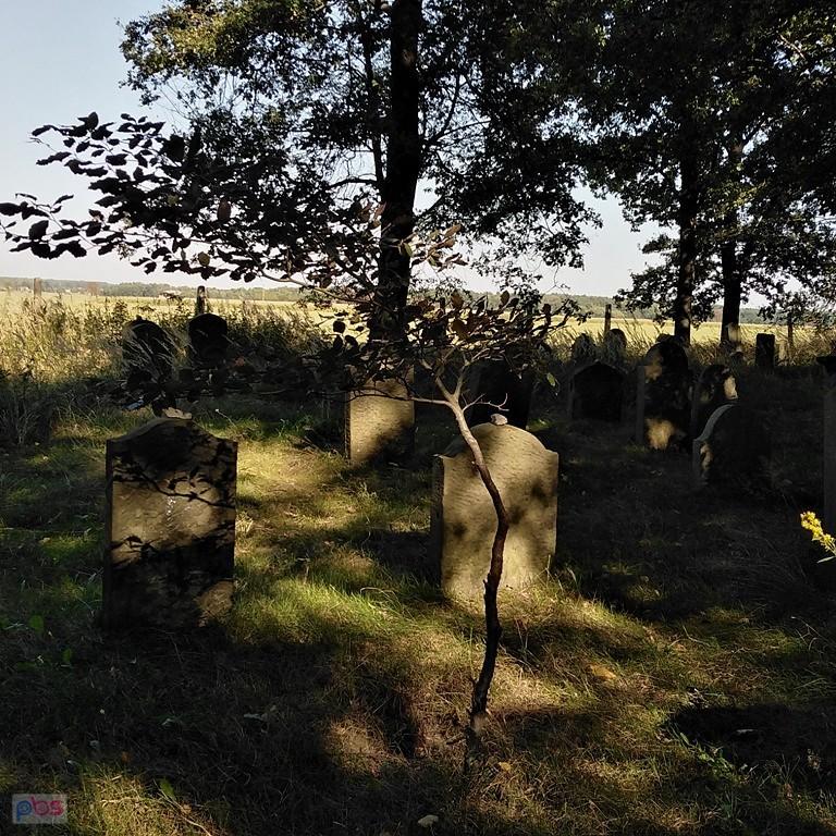 kirkut w Wielowsi