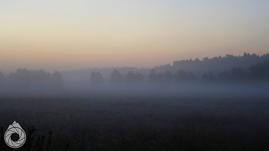 łąki nad Tychami