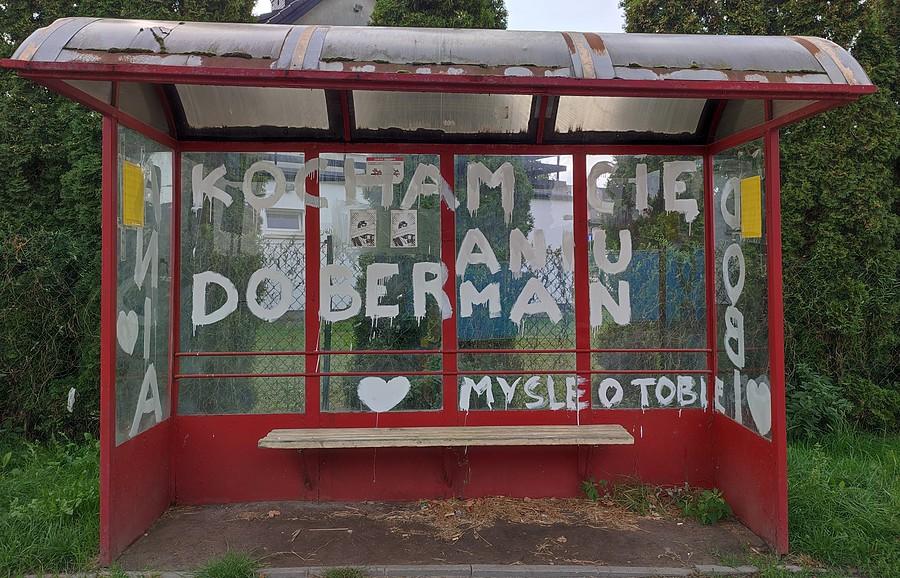 Romantyk z Plewisk :) Dobi i Ania, czyli patologia przystankowa