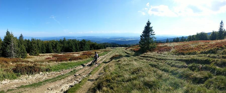 Panorama w drodze na Okrąglicę