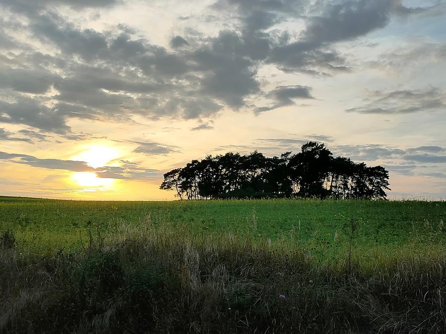 Żalik okło Wierzenicy
