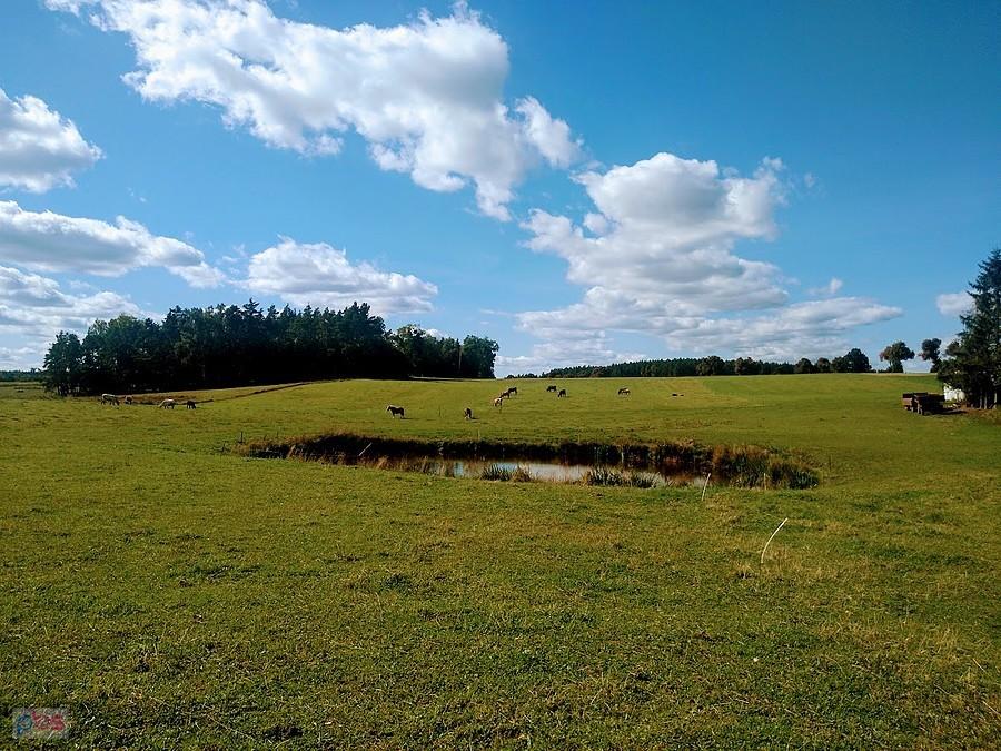 Boroszewo - Kociewie