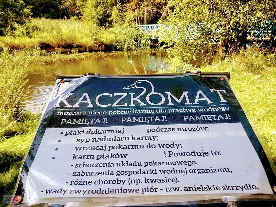 Baner informacyjny o karmieniu ptaków wodnych