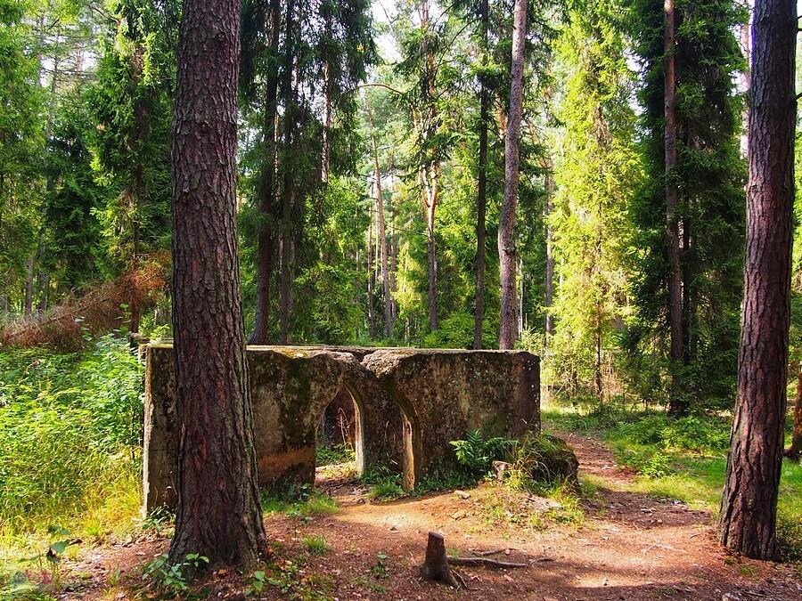 Ruiny zabudowań kopalni żelaza "Bibiela-Pasieki"
