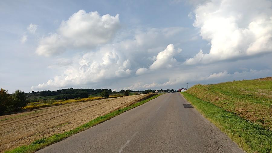 Dąbie k Bedzina