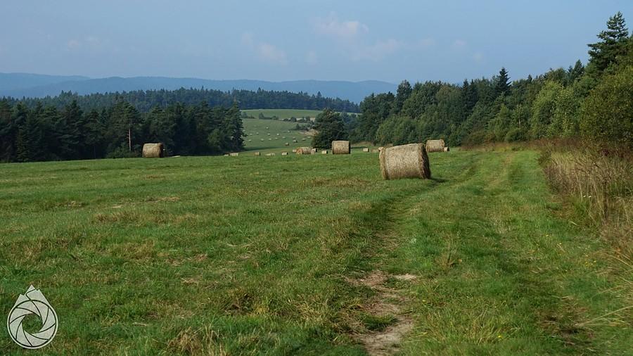 polana przysłopska