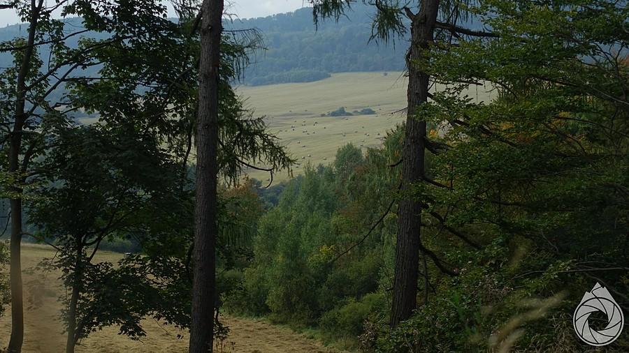 Regietów Wyżny