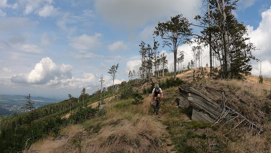 Ten żołty szlak chwilami jest wymagający do pure MTB