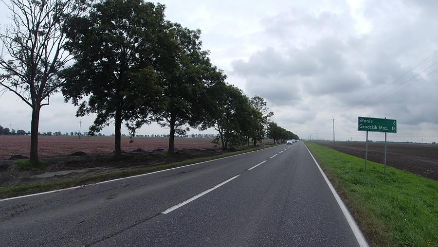 Budowa ddr wzdłuż drogi Leszno-Błonie