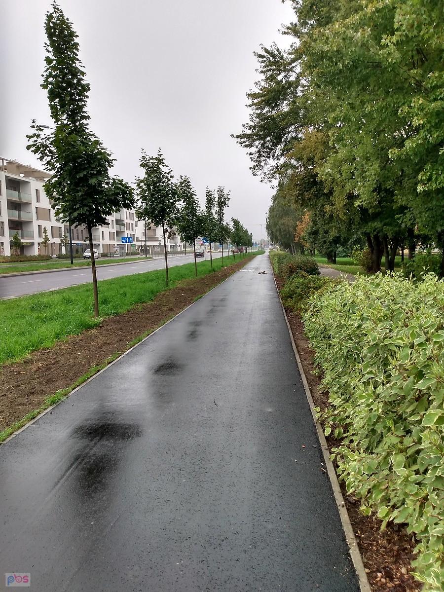 Ddr na Lazurowej już z nowym asfaltem