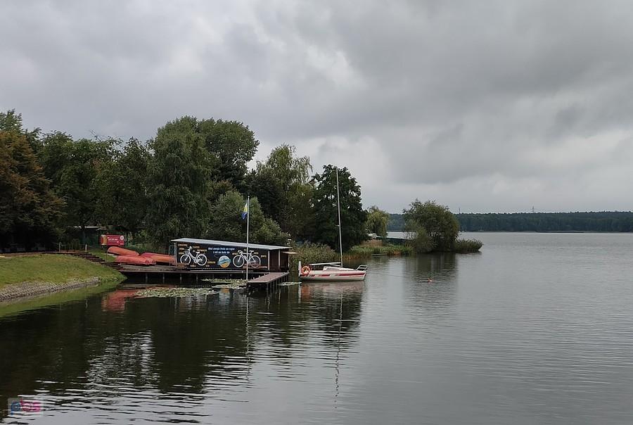 Ciś na kole