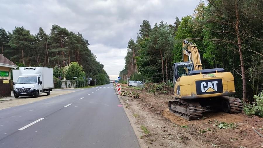Wycinka pod budowa jakiegoś paskudztwa. Oby to był tylko chodnik