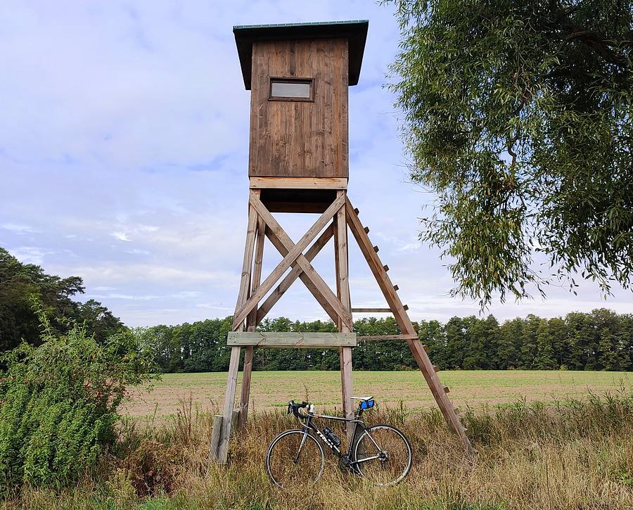 Pod amboną, znów pustą. Niech taką pozostanie