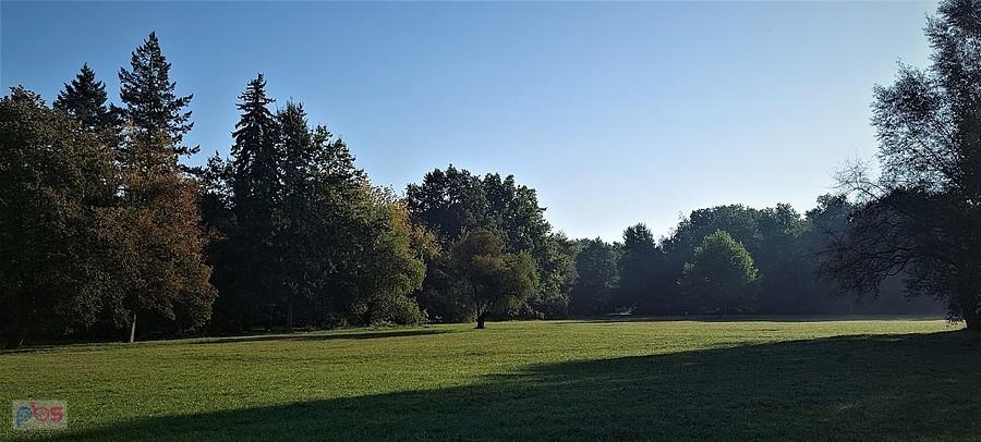 Polana w Parku Grabiszyńskim o poranku