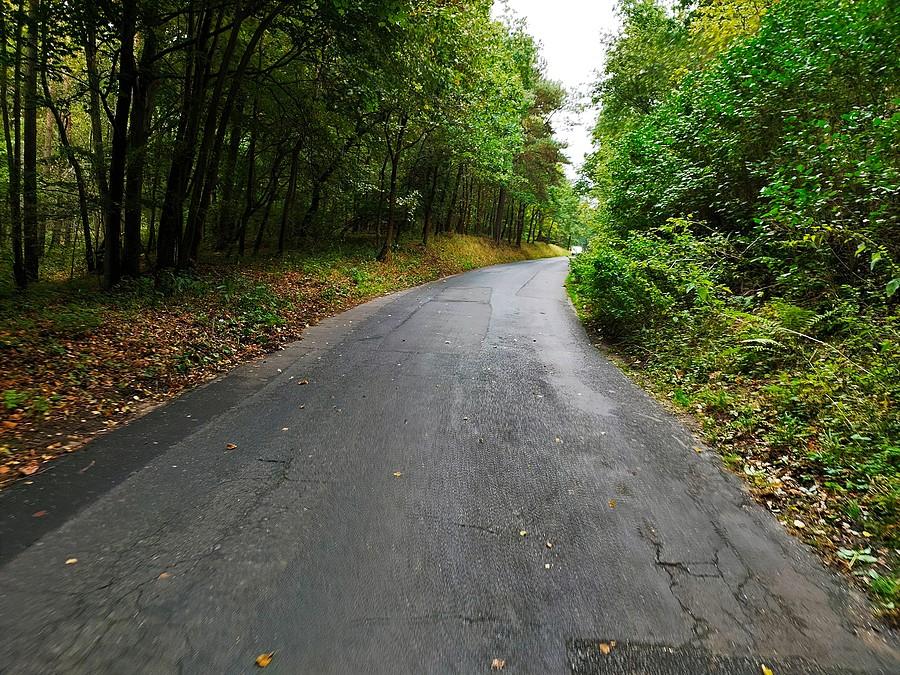 Droga Wierzenica - Kobylnica