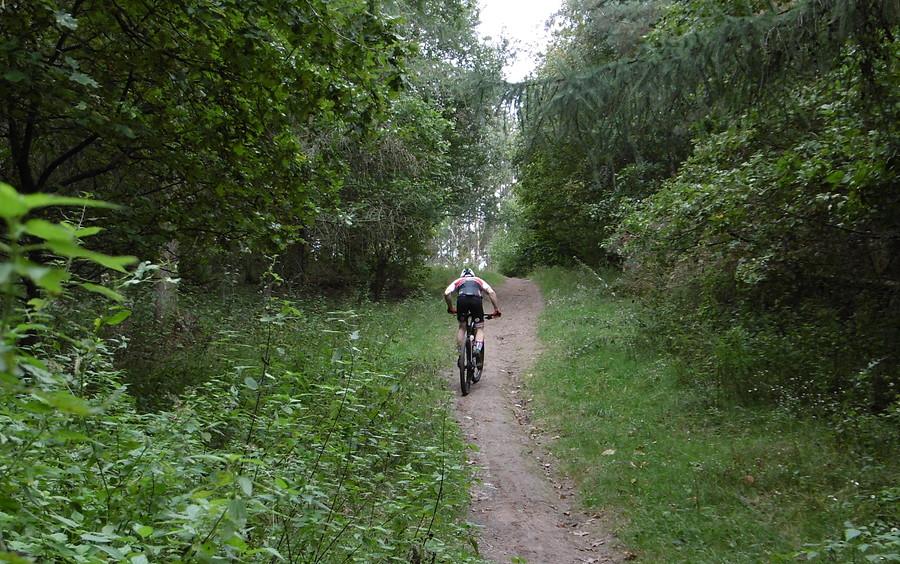Podjazdowe, janosikowe Pure MTB