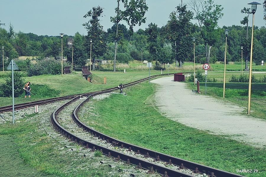 Krośnice - Krośnicka Kolej Wąskotorowa