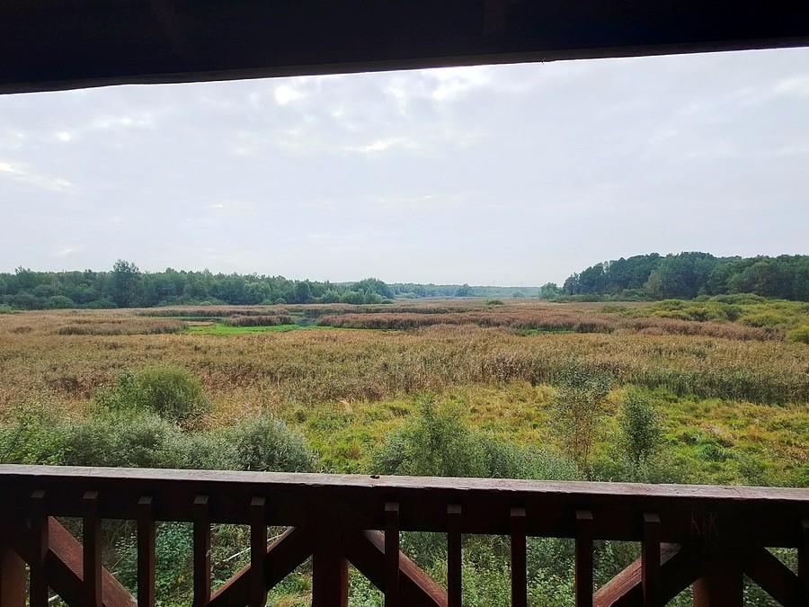 Wodozbiór - widok z platformy widokowej