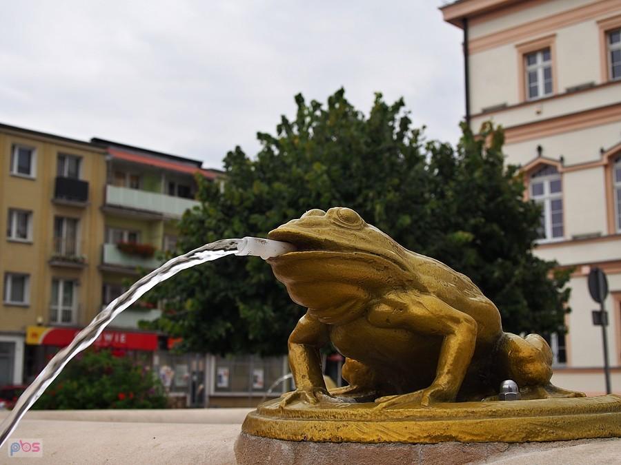 Królewicz olewa temat