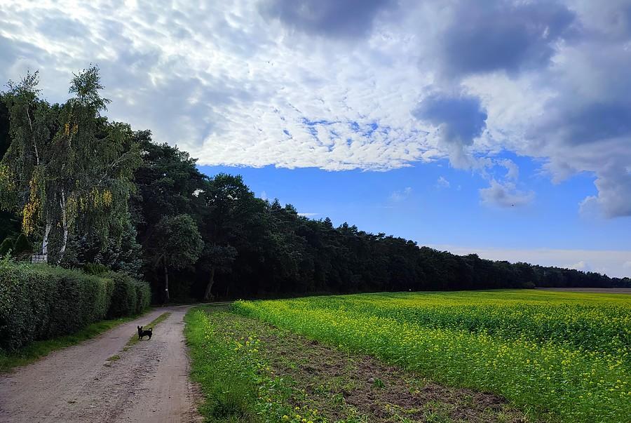 Wrześniowy, czyli prawie wiosenny, widok na początek Wielkopolskiego Parku Narodowego