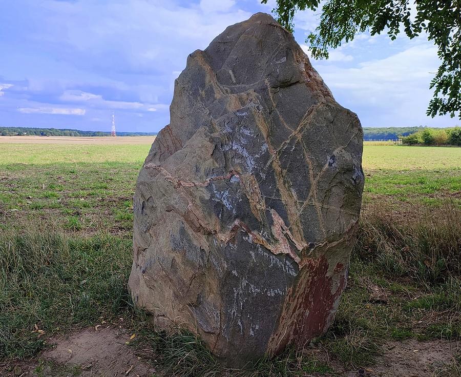 Głaz przy Wielkopolskim Parku Narodowym