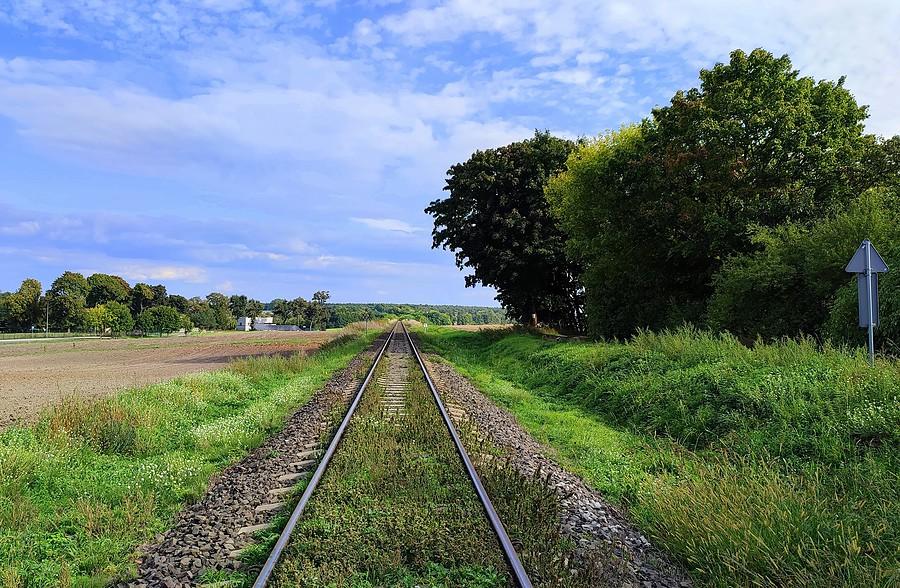Malownicza beztrakcyjna trasa Poznań - Wolsztyn na wysokości Wirów