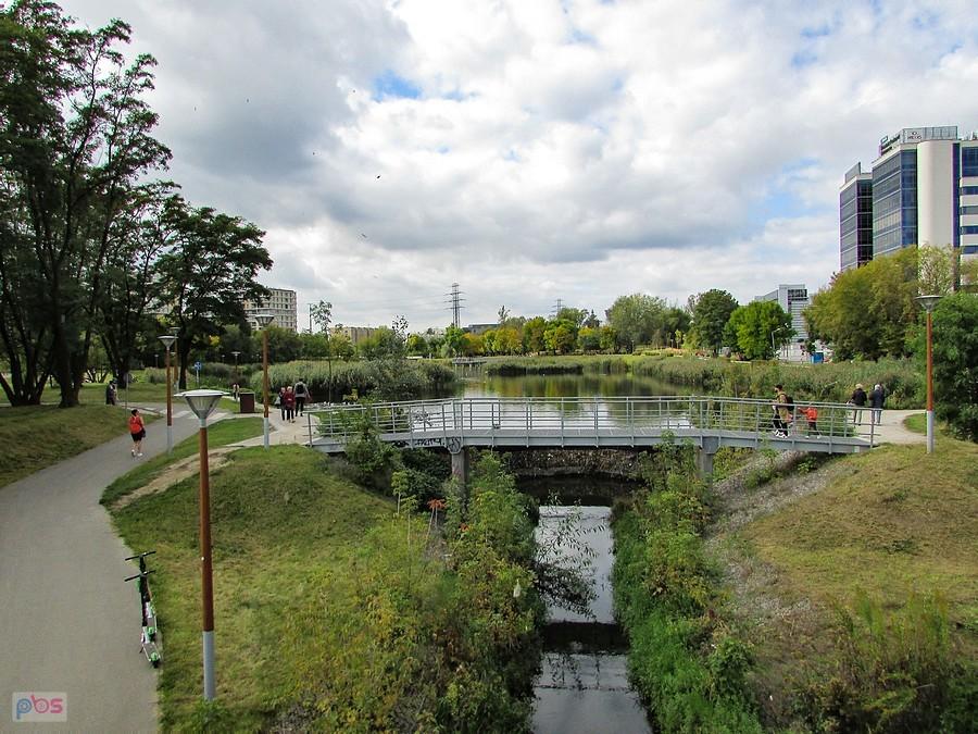 Staw Służewiecki