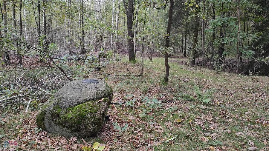 Chyleniec - Głaz upamiętnia żołnierzy z 36. pułku saperów, którzy zginęli w wyniku wybuchu i pożaru składów amunicji