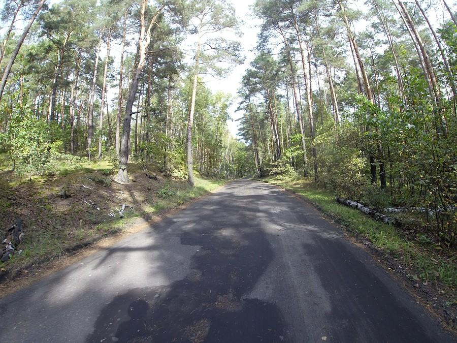 Gruntowe dwa kilometry w Kampinosie