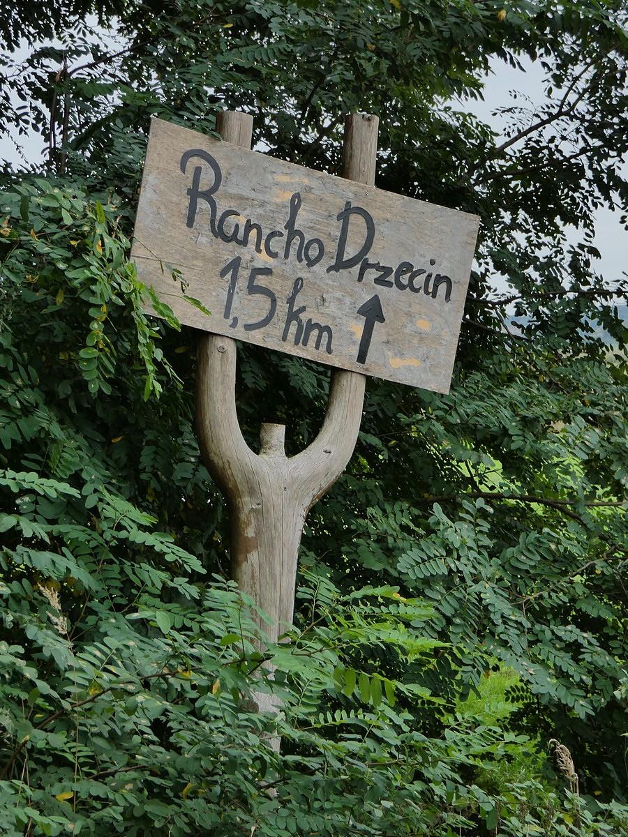 Jadę na Rancho Drzecin