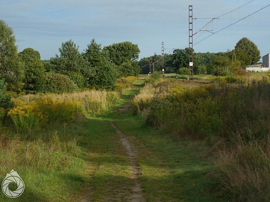 ścieżki nadtorowe