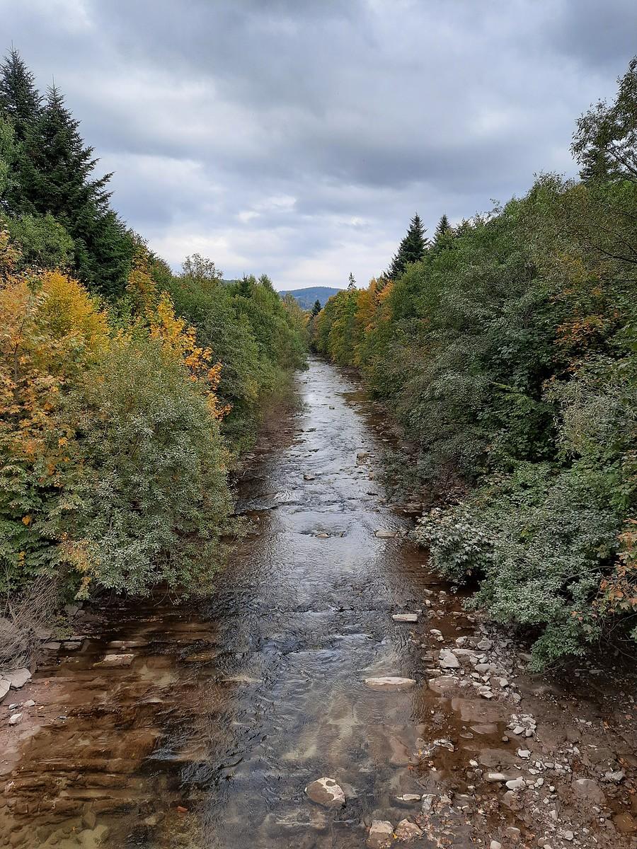 Hoczewka w Baligrodzie.
