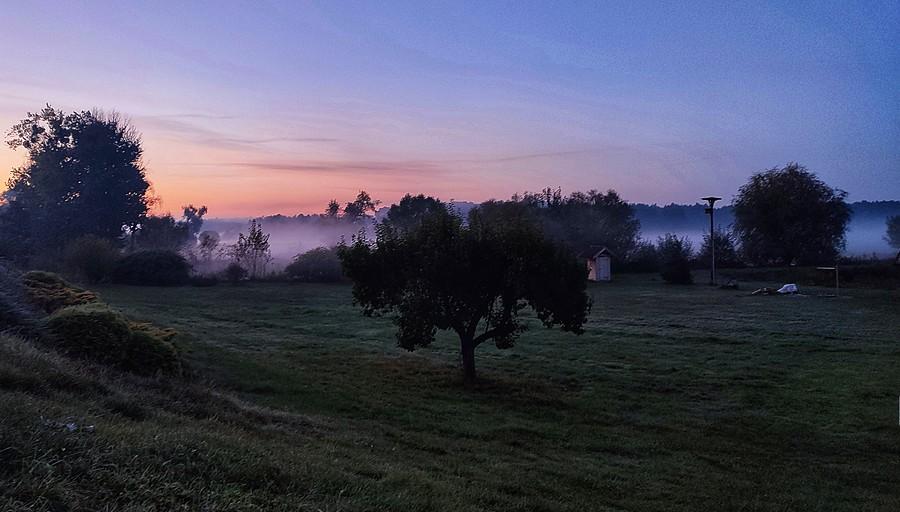 Mgły nad Radzewicami