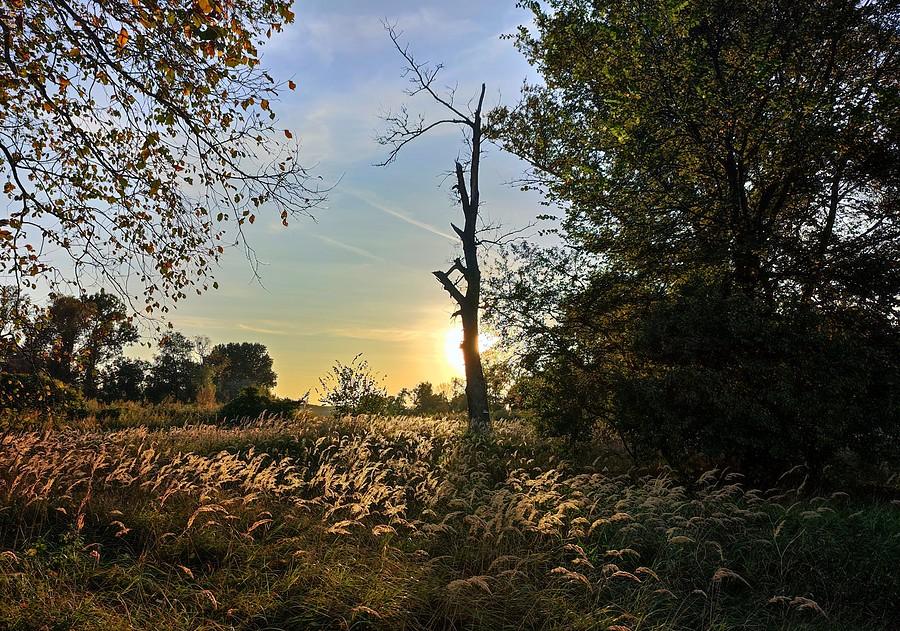 Październik czas zacząć. Rogaliński Park Krajobrazowy