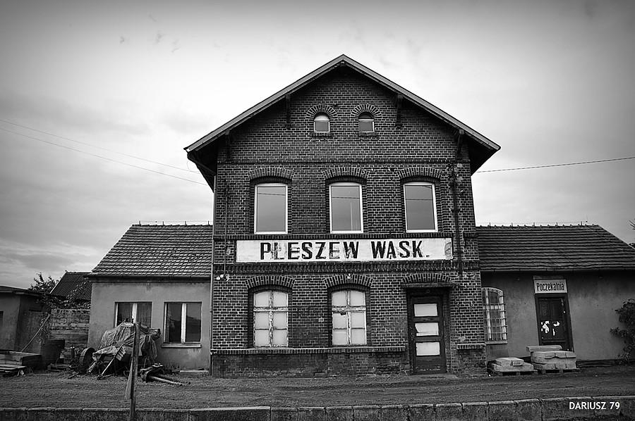 Pleszew Wąsk