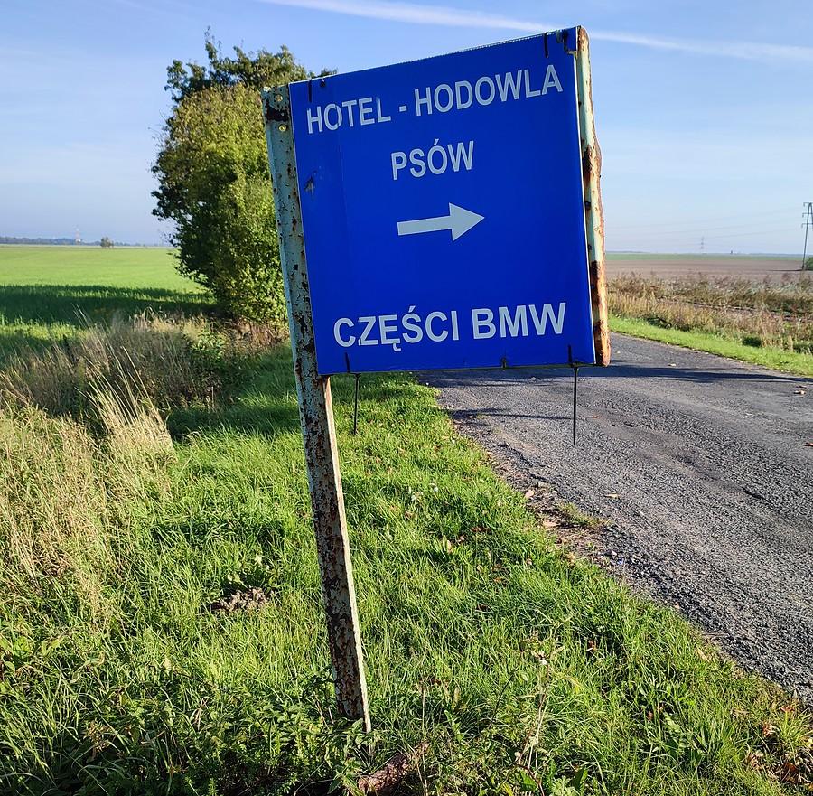 Polska w pigułce. Tej złej