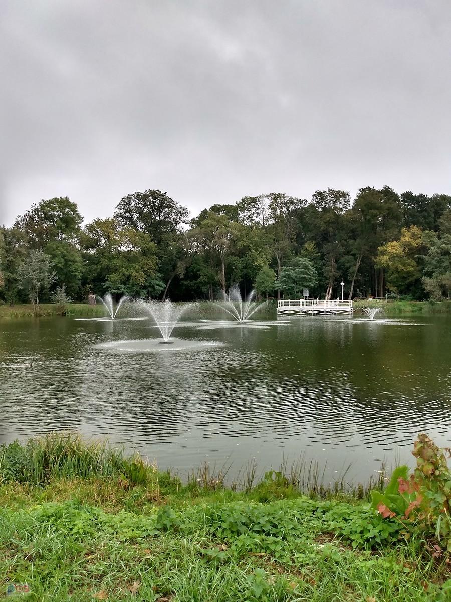 Staw w Ołtarzewie