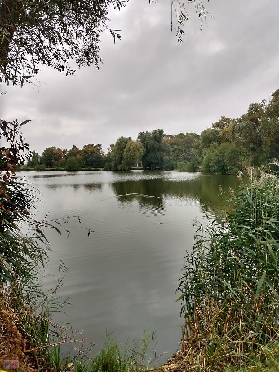 Staw w Zielonkach