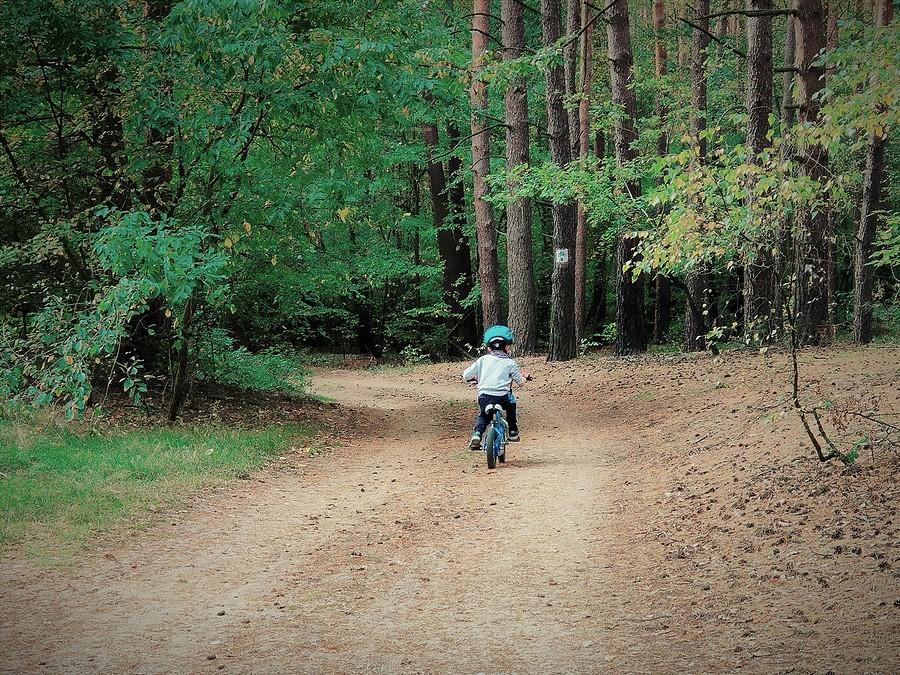 Szlak łącznikowy R-2