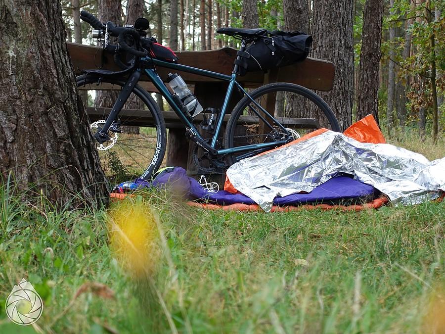 poranek pod ławką, jak zawsze