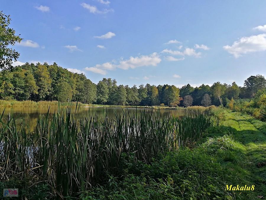 Staw Kanetowiec