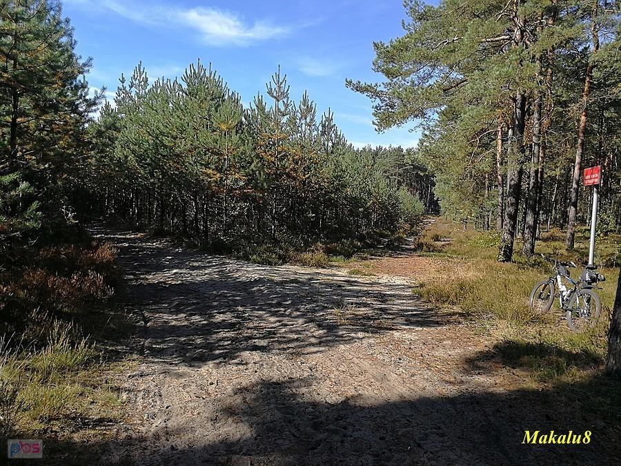 Natura 2000. Pustynia Błędowska