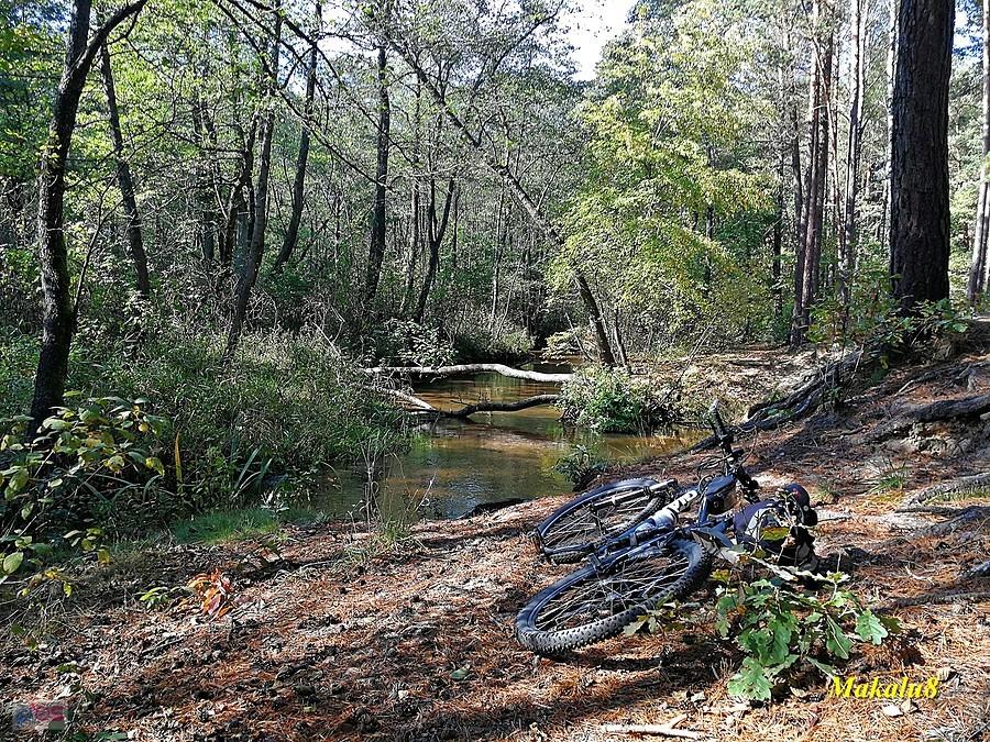 Biała Przemsza